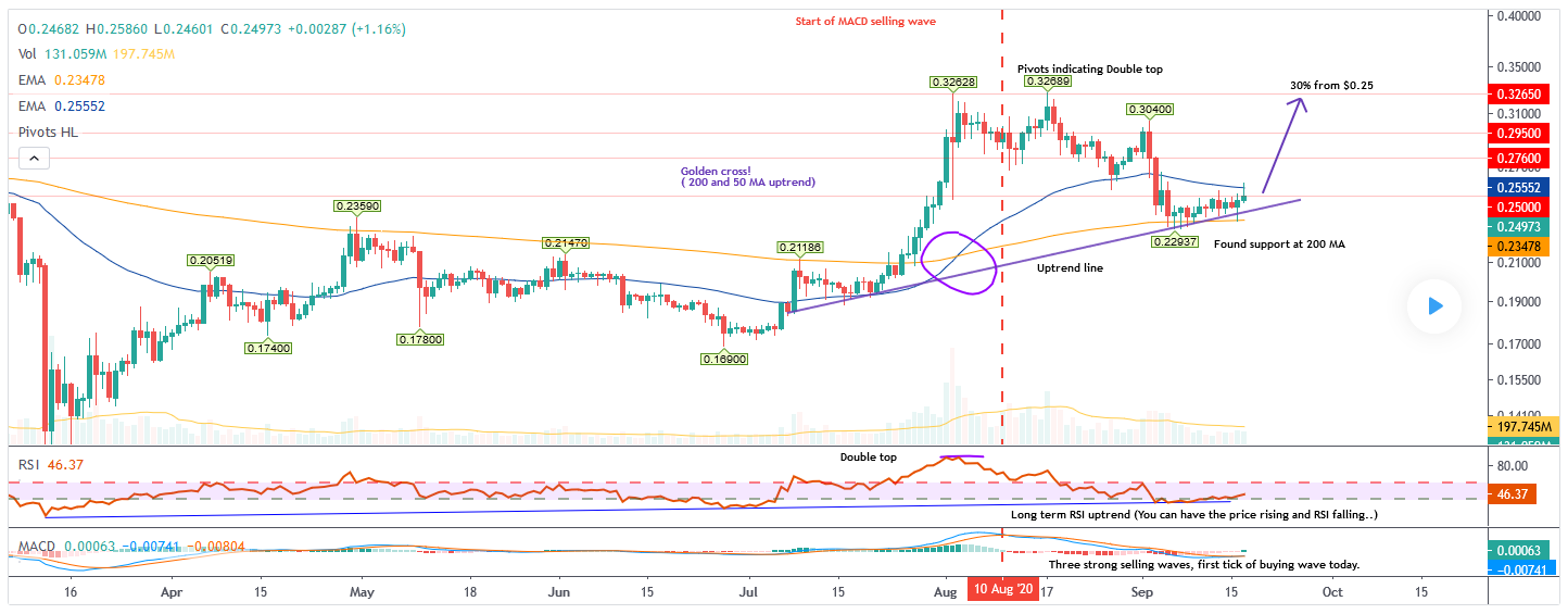 Analyst Says XRP Has Potential to Surge By 30% Once It Breaks This Resistance