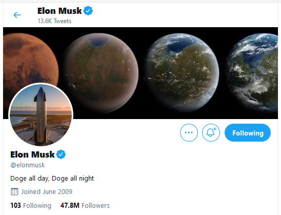 Elon Musk Changes His Twitter Bio to “Doge all day, Doge all night”