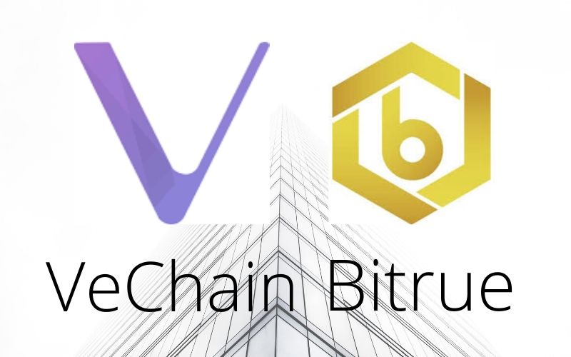 Bitrue Updates VeChain (VET) Wallet to Conform with the Upcoming Fork