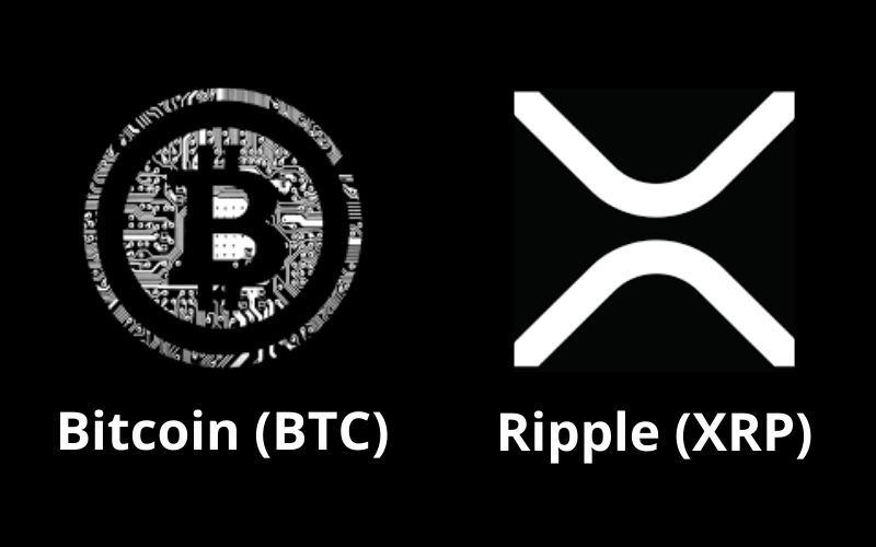 Credible Crypto Says Bitcoin and XRP Are Set For Price All-Time Highs, States New Timeline