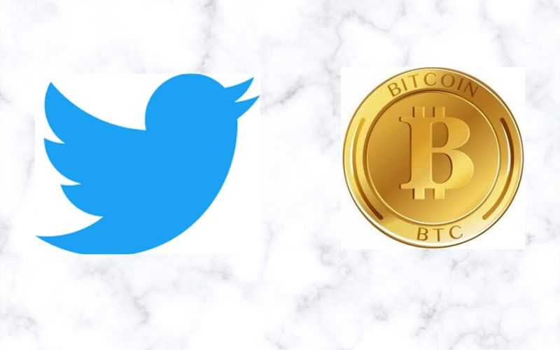 Elon Musk and CZ Binance Declare Their Supports for Jack Dorsey as Twitter CEO. Here is why