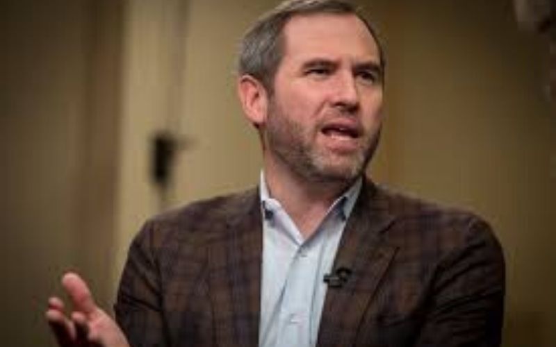 Even If XRP Is Declared a Security, Ripple Would Still Succeed –Brad Garlinghouse