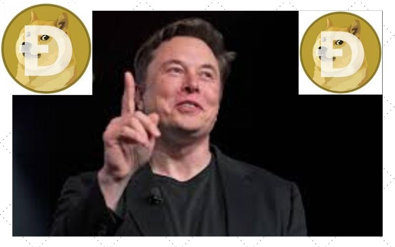 Elon Musk Thinks Dogecoin (DOGE) Could Hit $1