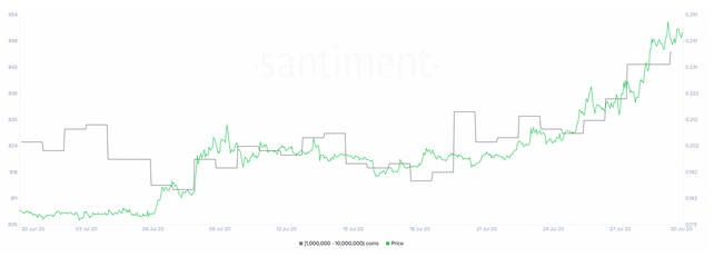 XRP Whales in Accumulation Spree. Further Gains Ahead?