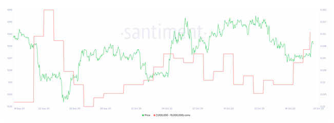 XRP Targets $0.3 As Number of Whales Keep Increasing