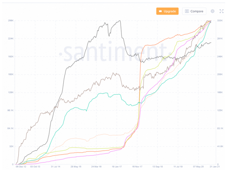 XRP Whales Still On the Increase –Santiment