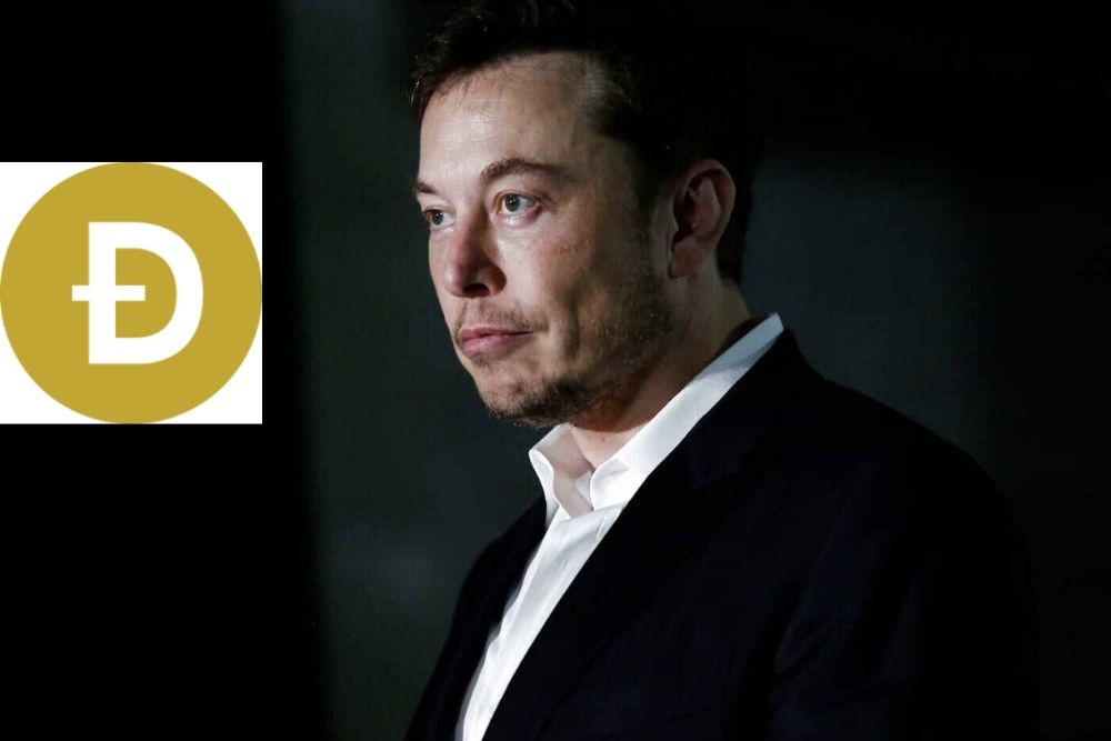 Elon Musk Approves a New Use Case for Dogecoin (DOGE)