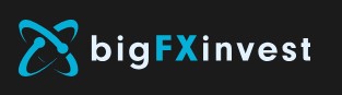 Big FX Invest logo